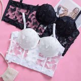 women's clothing popular solid color butterfly mesh sexy suspender small vest women's corset fishbone tube top underwear