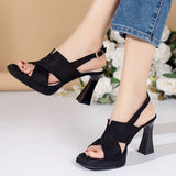 hulianfu Cross Strap High Heels Sandals for Women Summer  Black Hook Heels Party Shoes Woman Fashion Buckle Strap Platform Sandalias