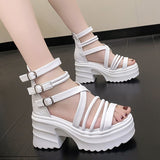 Women's Fashion Ankle Strap Wedges Sandals Platform Chunky Heel Sandals for Women  Summer Thick Bottom Gladiator Shoes Woman