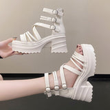 Women's Fashion Ankle Strap Wedges Sandals Platform Chunky Heel Sandals for Women  Summer Thick Bottom Gladiator Shoes Woman