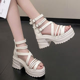 Women's Fashion Ankle Strap Wedges Sandals Platform Chunky Heel Sandals for Women  Summer Thick Bottom Gladiator Shoes Woman