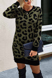 hulianfu hulianfu Leopard Print Oneck Mini Dress