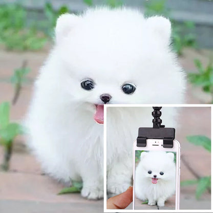 HULIANFU Pet Selfie Stick Dog Cat Smartphone Selfie Stick Puppy Selfie Stick Rod Dog Cat Photo Shooting Toys Mobile Phone Clip Pet Supply