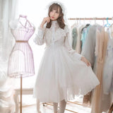 Adult Women Gothic Costume Lace Hollow Bridal Wedding Party Embroidery Dress Lolita Princess Sweet A Line Dress Veil For Ladies