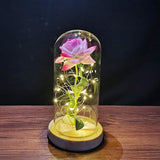 HULIANFU Valentines Day Gift for Girlfriend Eternal Rose LED Light Foil Flower In Glass Cover Mothers Day Wedding favors Bridesmaid Gift